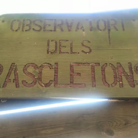 Dinasty * Empuriabrava