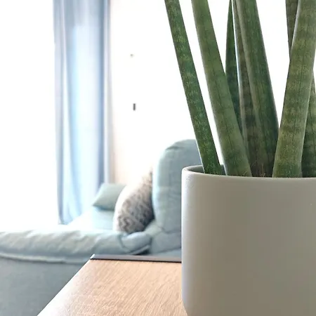 Apartment Dinasty Empuriabrava